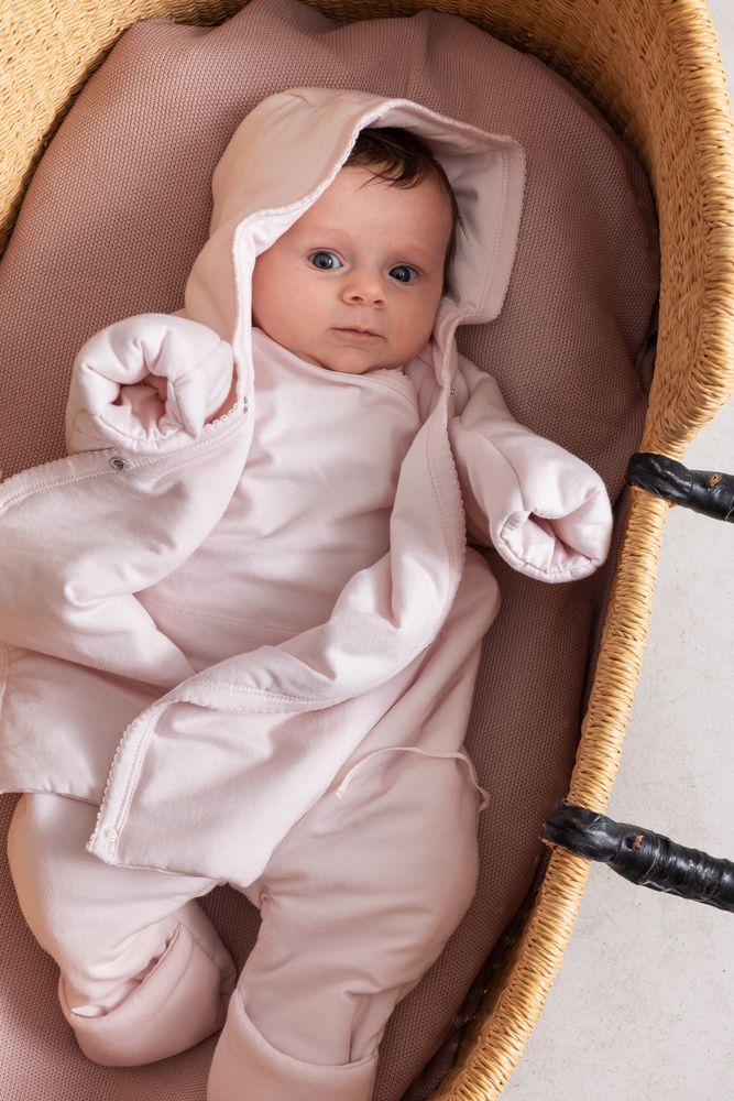 Rosa Rubetta