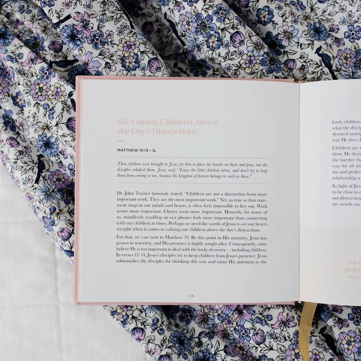 Open page of the Steadfast Motherhood Devotional by The Daily Grace Co with inspiring text and soft pastel design on the cover.