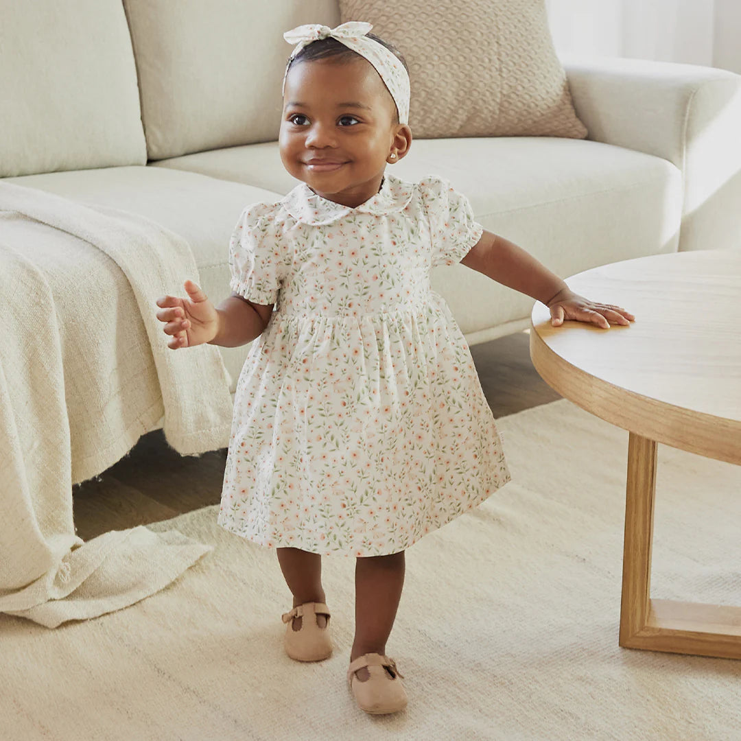 Petit Lem - Spring Bunnies Poplin 3pc Dress Set