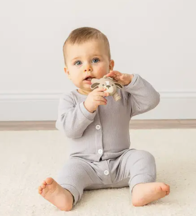 Itzy Ritzy - Puppy Ritzy Teether Baby Molar Teether