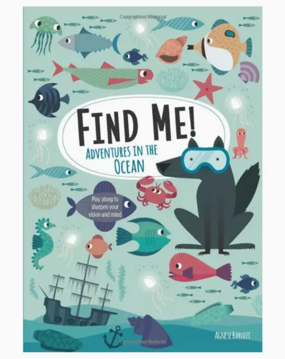 Find Me! Ocean Activity Book