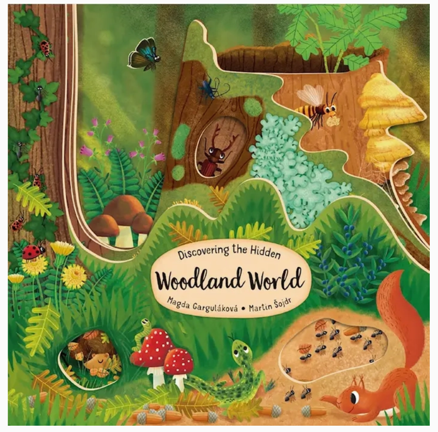 Woodland World Board Book