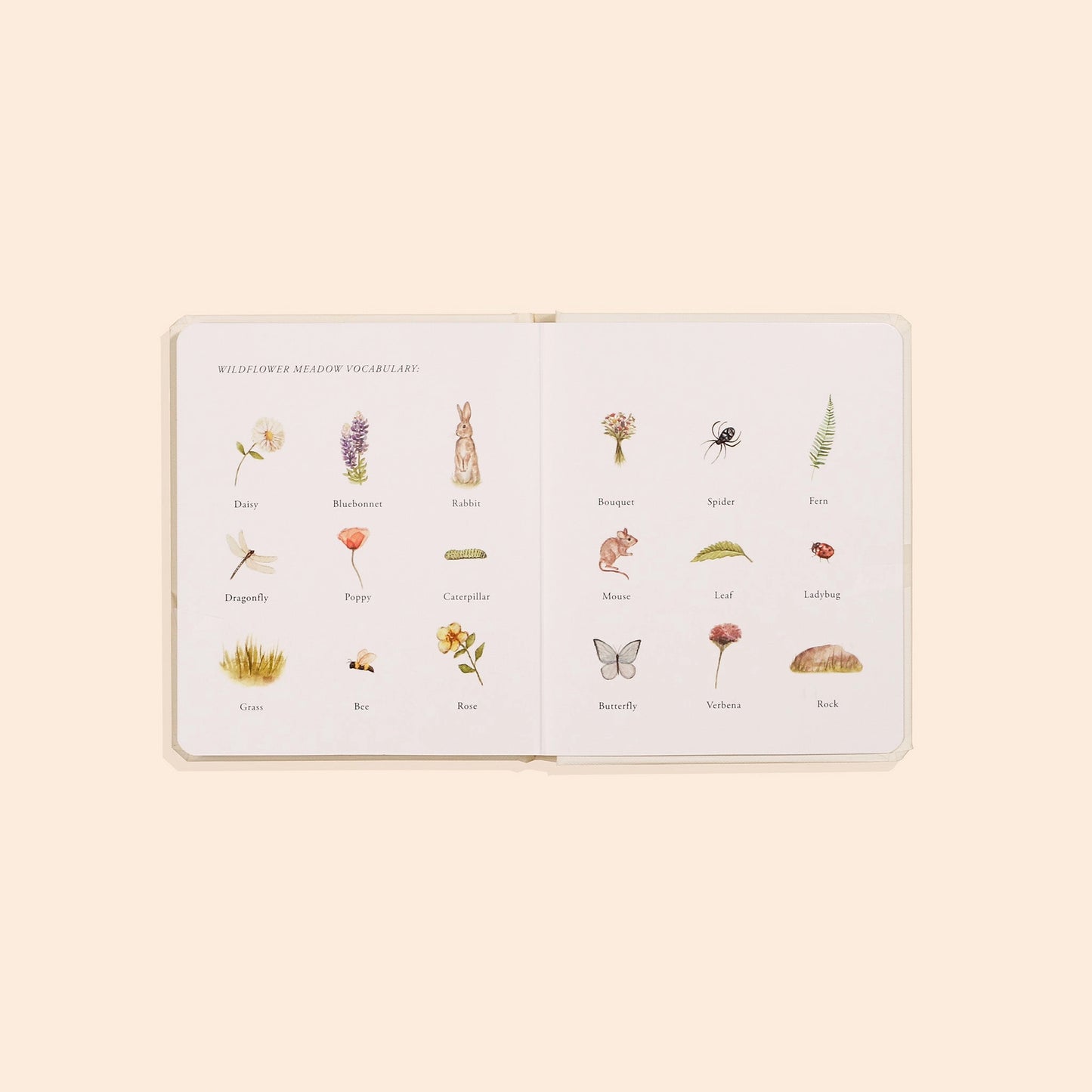 Little Adventures board book box set for kids by Paige Tate & Co. with colorful illustrated children's books inside.