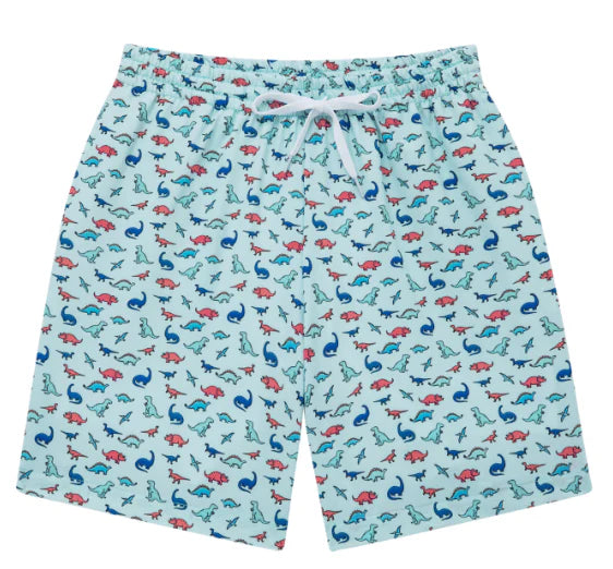 Dino Swim Trunks