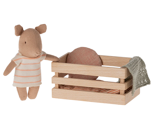 Girl Pig Baby in box