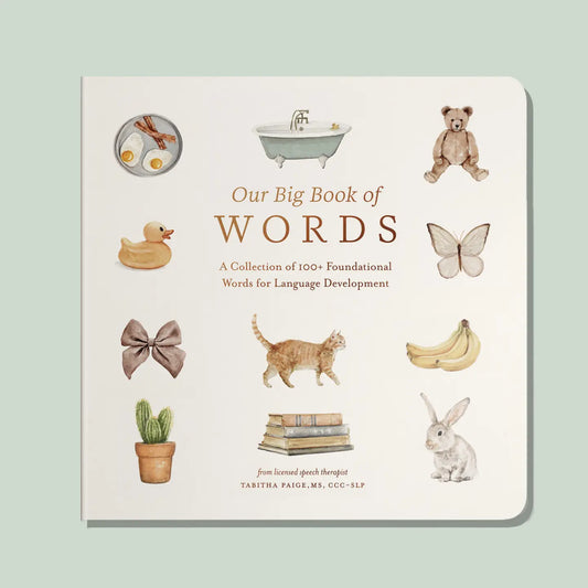Children's board book titled "Our Big Book of First Words" by Paige Tate & Co. with colorful illustrations of early learning words.
