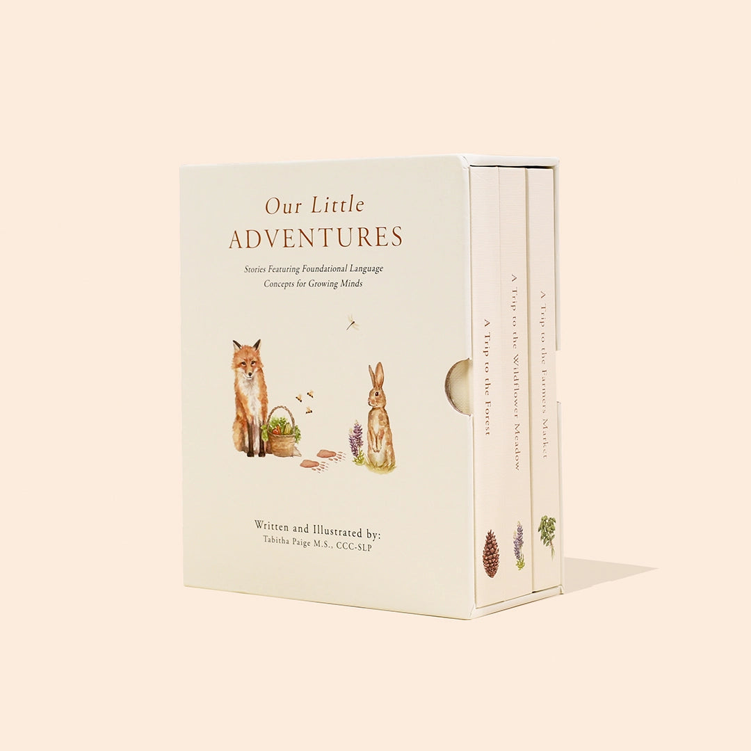 Set of two children's board books from Our Little Adventures collection by Paige Tate & Co., featuring colorful illustrations.
