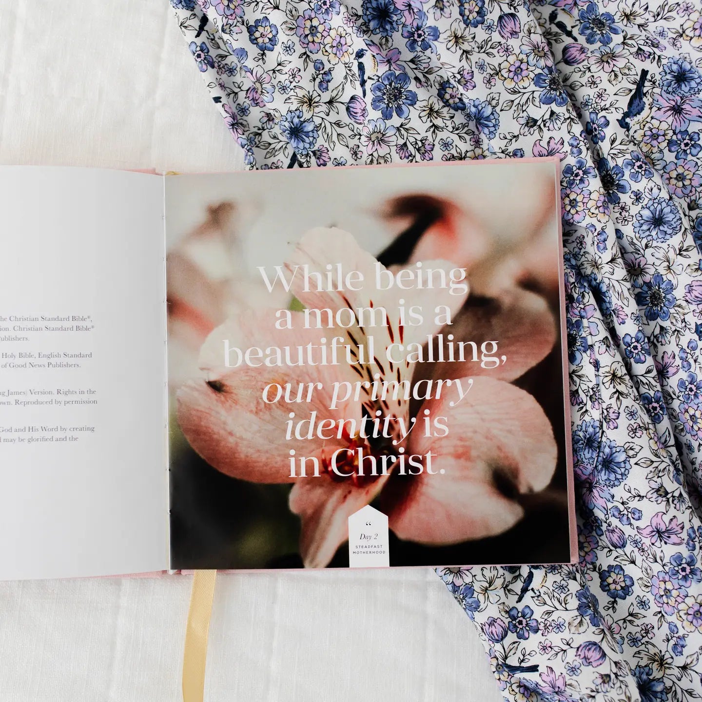 Cover of The Daily Grace Co Steadfast Motherhood Devotional featuring a soft floral design and handwritten-style title text.