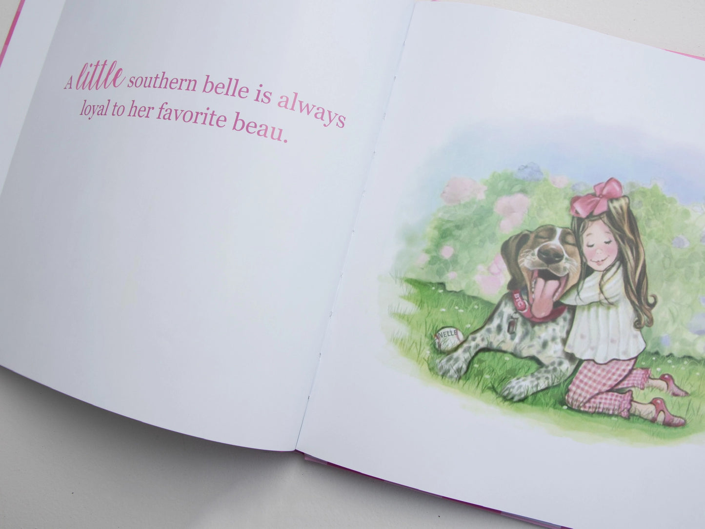 Little Southern Gingham - Little Southern Belle Book