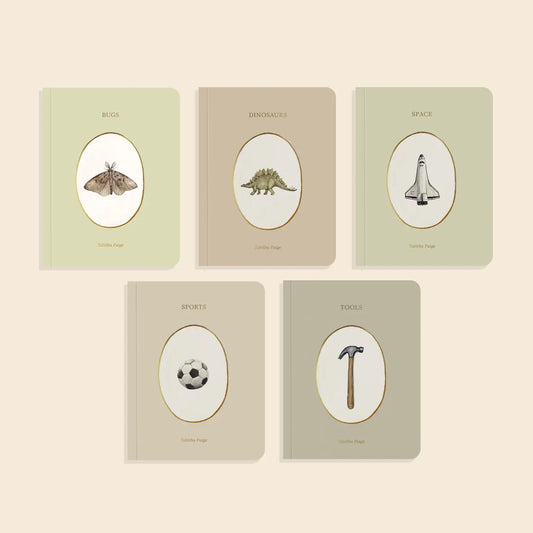 Set of five children's board books from Our Little Library Vol. 3 by Paige Tate & Co., featuring colorful illustrations and engaging stories.