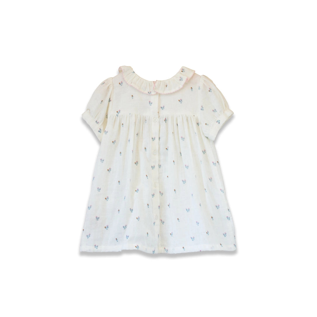 Beet World Petit Floret Toddler Emily Dress with lace trim, pink fabric and ruffled sleeves, perfect for little girls.