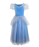 Joy - Princess Cinderella Blue  Dress