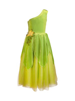 Joy - The Frog Princess or Tinker Fairy Costume Dress