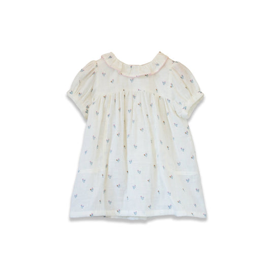 Toddler Emily dress by Beet World featuring lace trim and floral design, perfect for little girls' special occasions.
