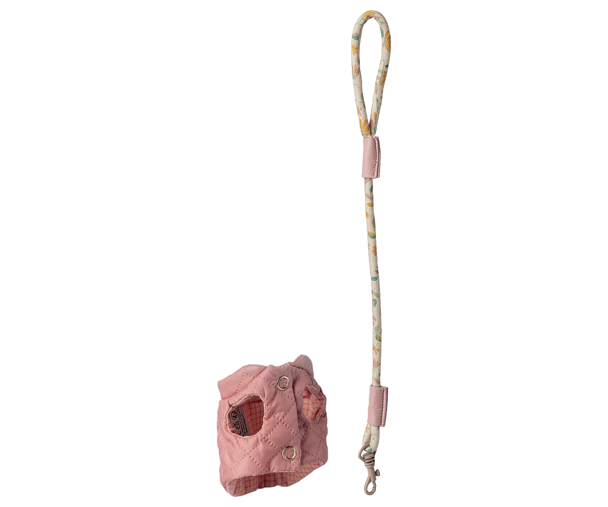 Pet supply, Harness and leash - Rose