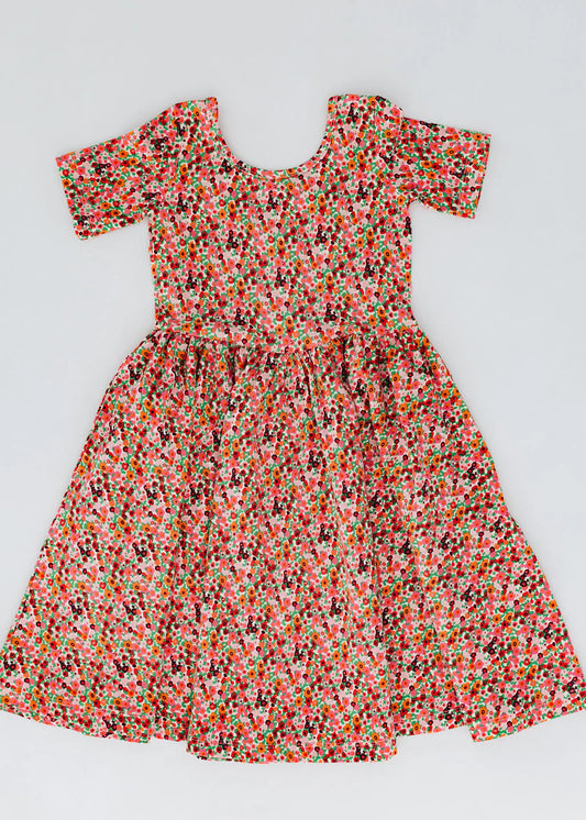 Posy Pop Short Sleeve Twirl Dress