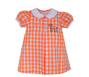 Southern Saturday - "V is for Vols" Embroidered Dress