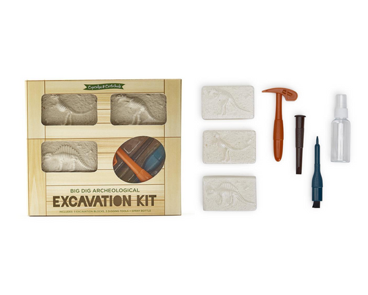 Cupcakes and Cartwheels - Big Dig Archeological Adventure Excavating Kit