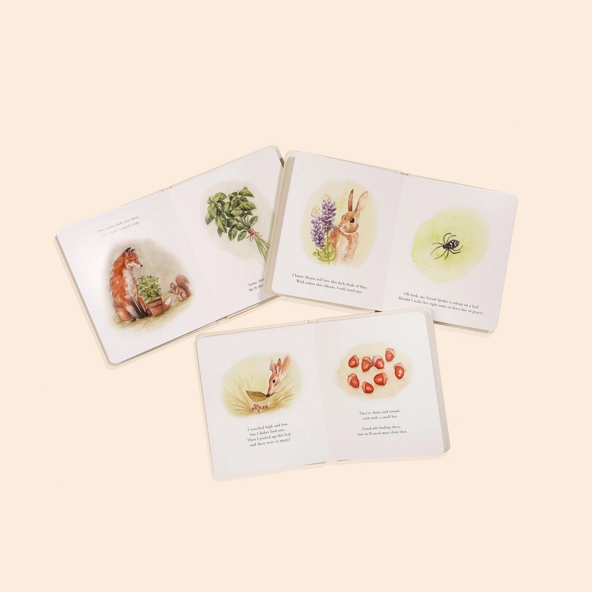 Little Adventures Board Book Box Set for Kids by Paige Tate & Co., featuring colorful toddler-friendly storybooks in a sturdy box.