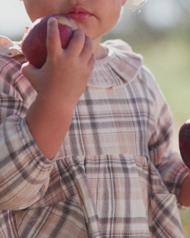 Quincy Mae Fall Plaid Simone Dress with long sleeves and a classic checkered pattern for children.