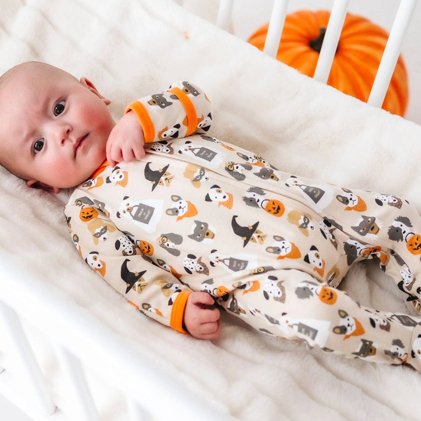 Halloween Hounds Driftwood Zipper Playsuit