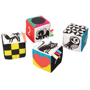 Manhattan Toy - Wimmer Ferguson Mind Cubes