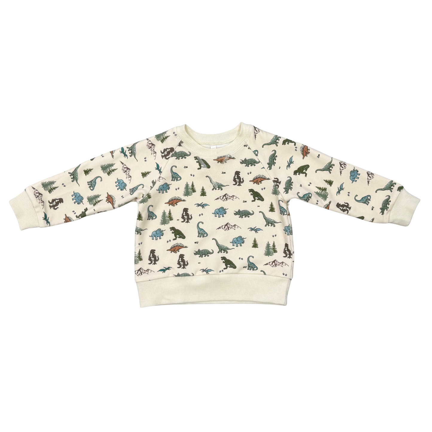 Dinosaur Fleece Sweatshirt