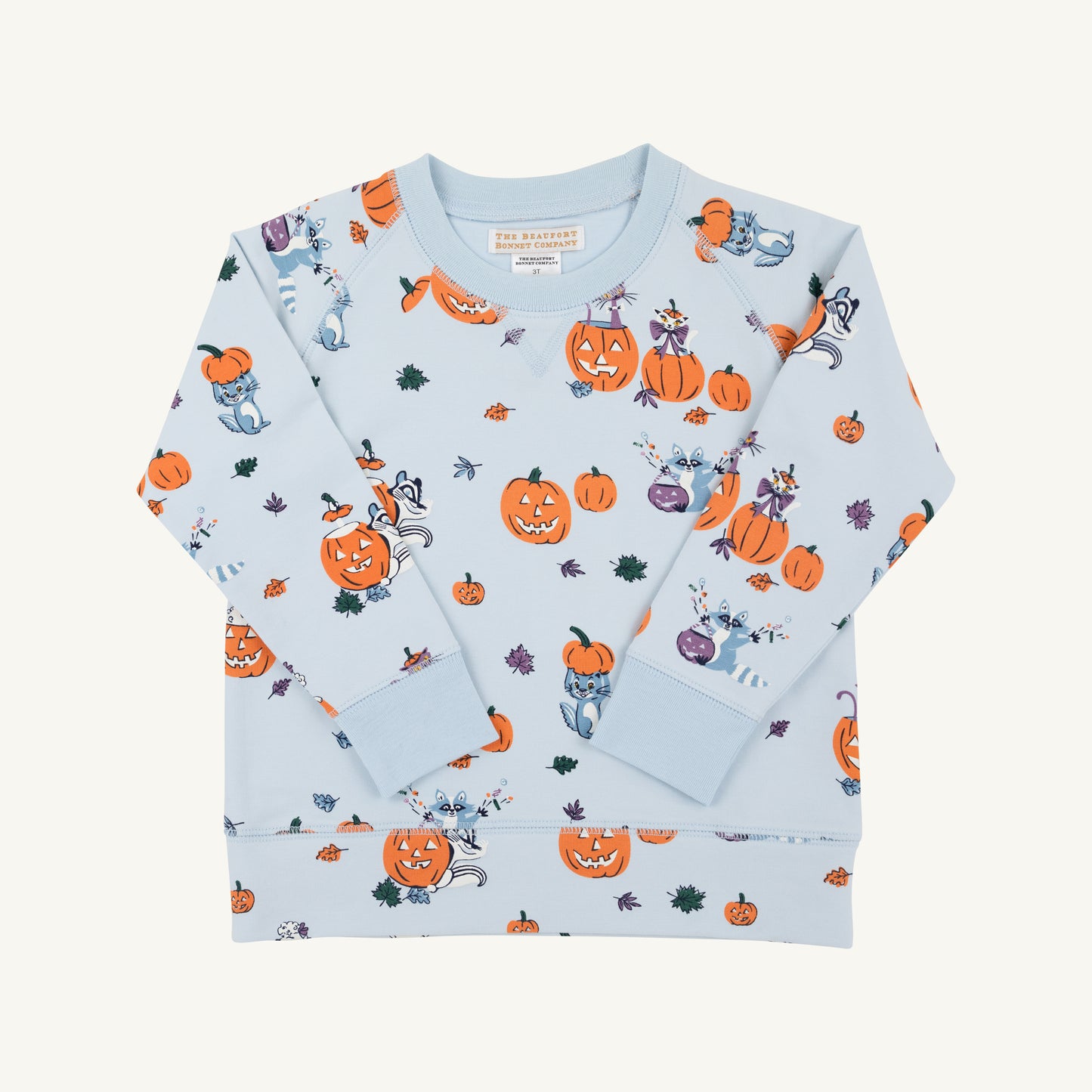 Candy and Critters Buckhead Blue Cassidy Comfy Crewneck from The Beaufort Bonnet Company, featuring a cozy, stylish blue knit sweater.
