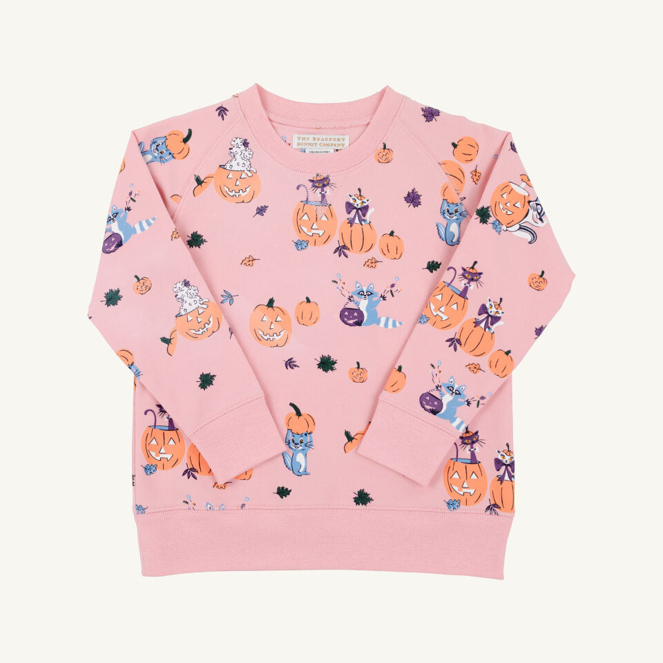 Pink Cassidy Comfy Crewneck from Candy and Critters Sandpearl collection by The Beaufort Bonnet Company, featuring soft, cozy fabric.