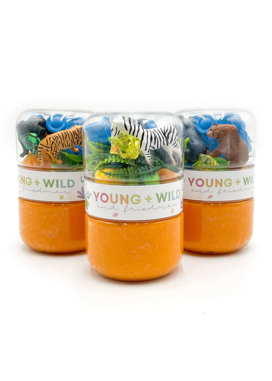 Young Wild and Friedman Zoo Grab & Go Dough Jar with colorful lid and clear container for easy, portable play dough storage